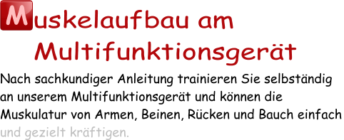 M uskelaufbau am  Multifunktionsgerät Nach sachkundiger Anleitung trainieren Sie selbständig an unserem Multifunktionsgerät und können die Muskulatur von Armen, Beinen, Rücken und Bauch einfach und gezielt kräftigen.